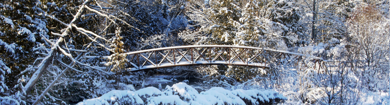 Freedom Park Bridge by John Peal