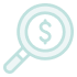 dollar sign and magnifying glass icon