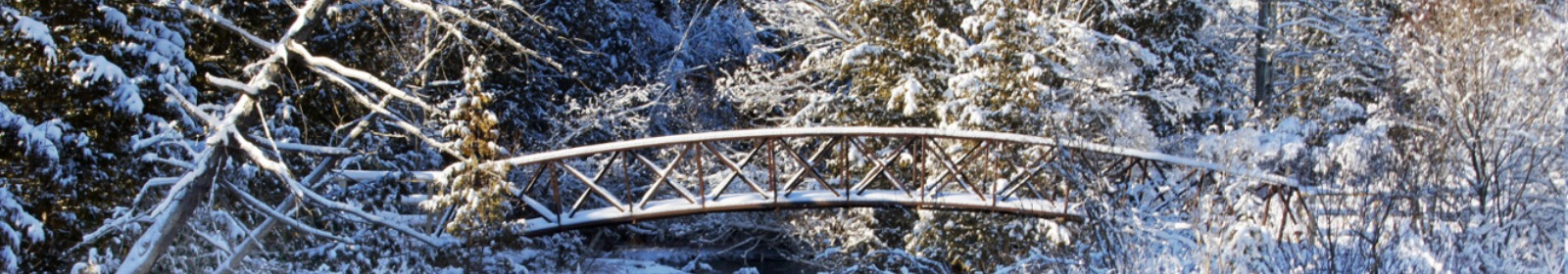 freedom pike bridge photo in the winter