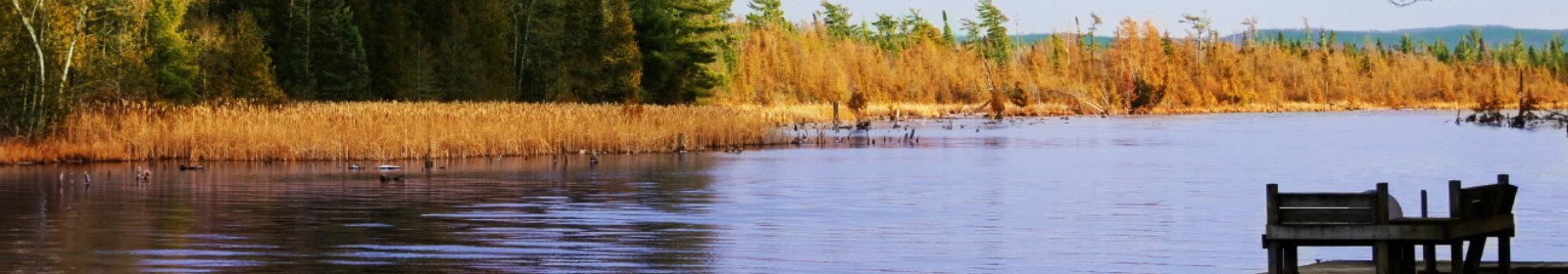 a dock setting by a small lake