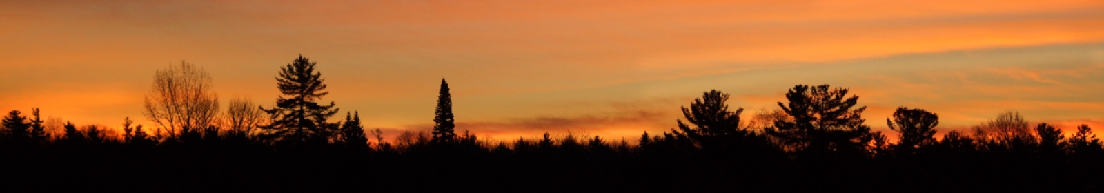 An evening sunset overlooking a forest.